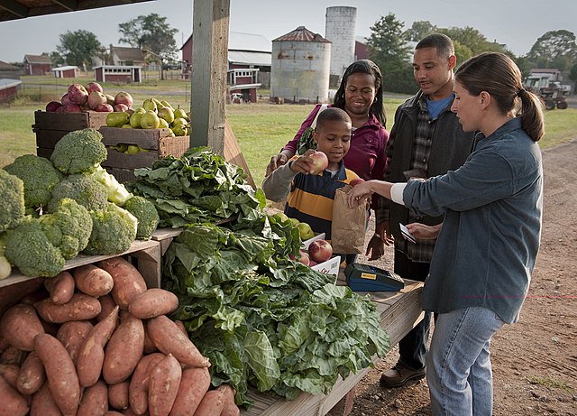 A child adding an onion to a bag at a farm stand with his family behind him
