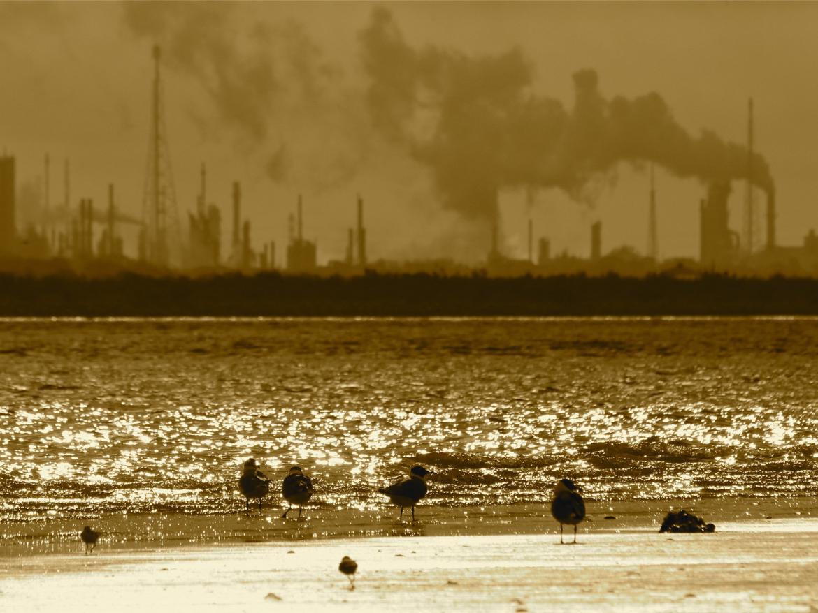 ExxonMobil Refinery, Baytown TX
