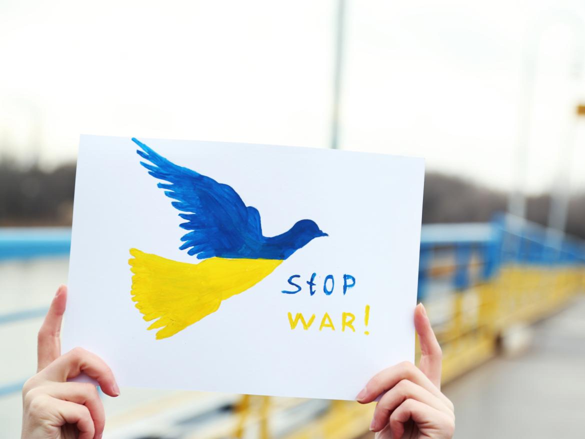Ukraine War Protest Sign with a blue and yellow peace dove and the words, "Stop War!"