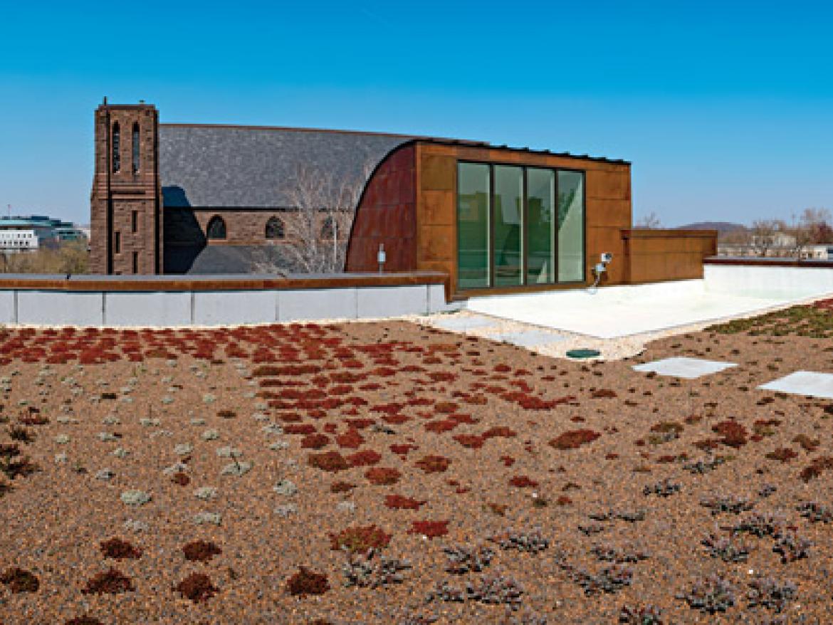 The green roof at FCNL.