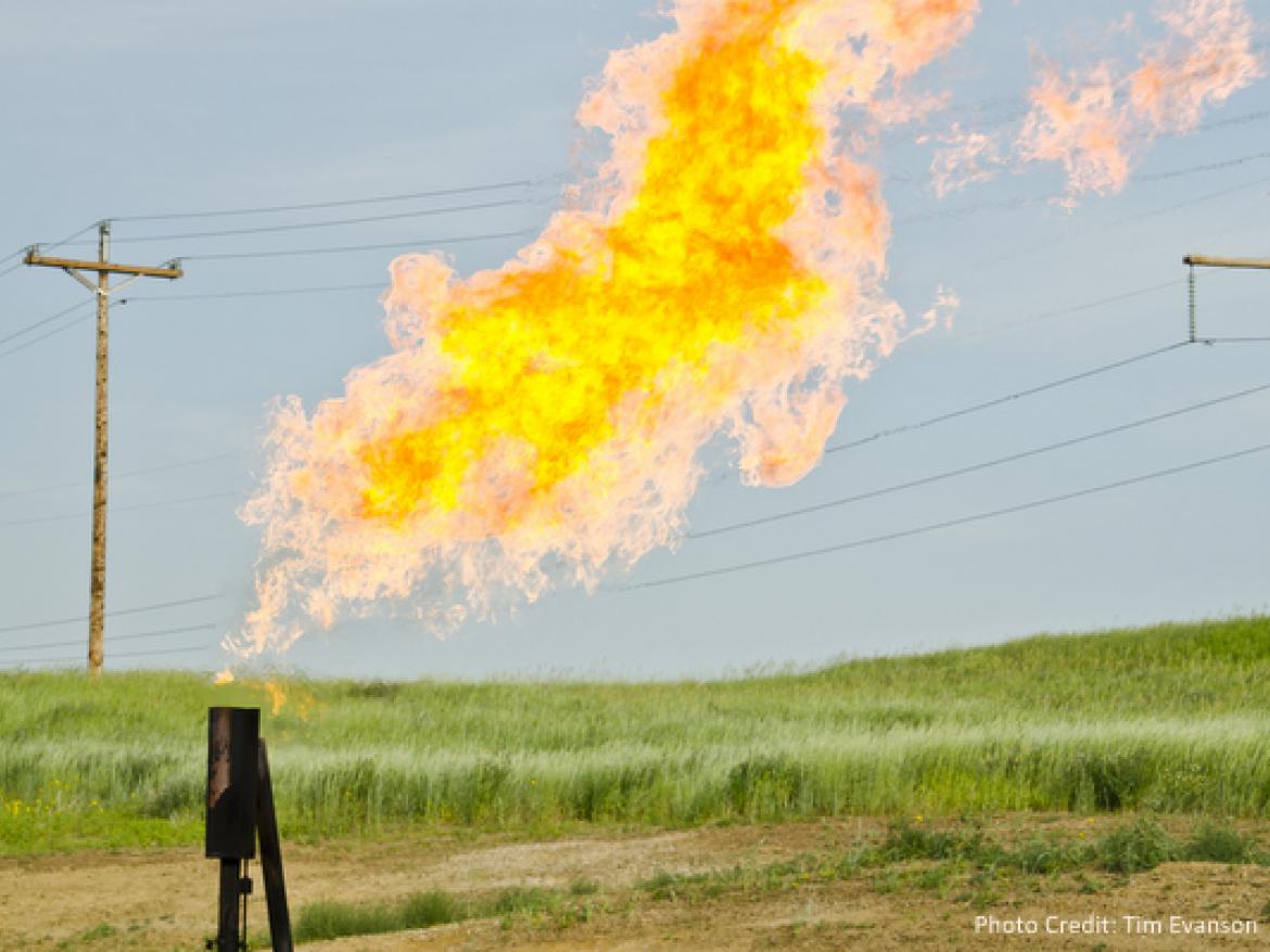 Natural gas flares from a flare-head at the Orvis State well on the Evanson family farm in McKenzie County, North Dakota, east of Arnegard and west of Watford City.