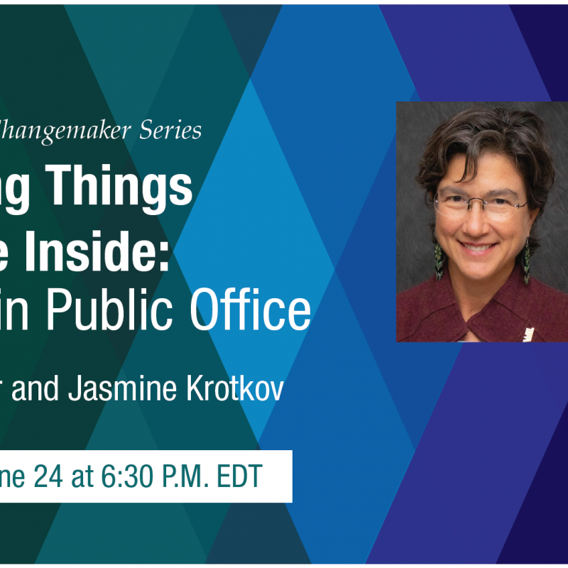 Changing Things From the Inside: Friends in Public Office